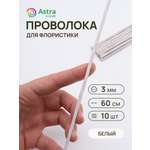 Набор для творчества Astra Craft плетение проволока 3 мм 60 см 10 шт
