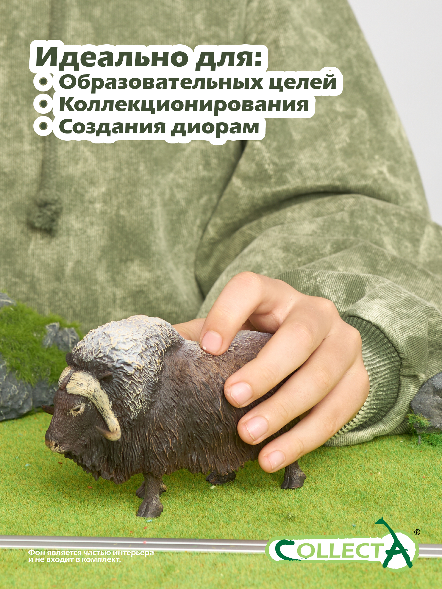 Фигурка Collecta Бык Мускусный - фото 6