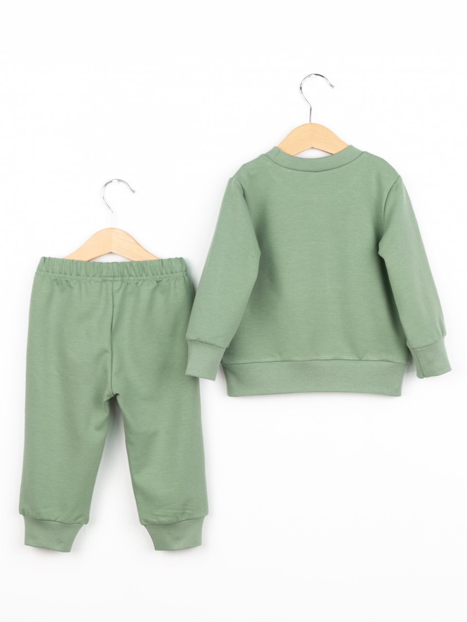 Костюм Baby boom КД568/1-Ф2 аппликация капибара полынь - фото 2