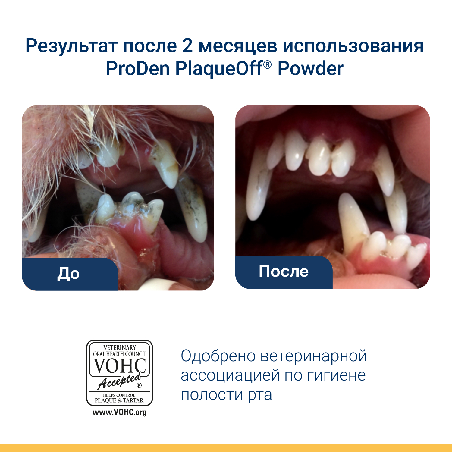 Средство для кошек PlaqueOff для профилактики зубного камня 40г - фото 7