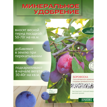 Удобрение осеннее Сельхозтрест Борофоска 3 кг