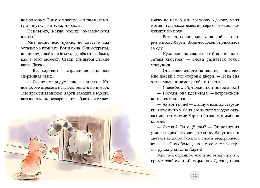 Книга Махаон Друзья и детективы/Галли С./Маффин. Мой друг енот (цв.илл.) - фото 9
