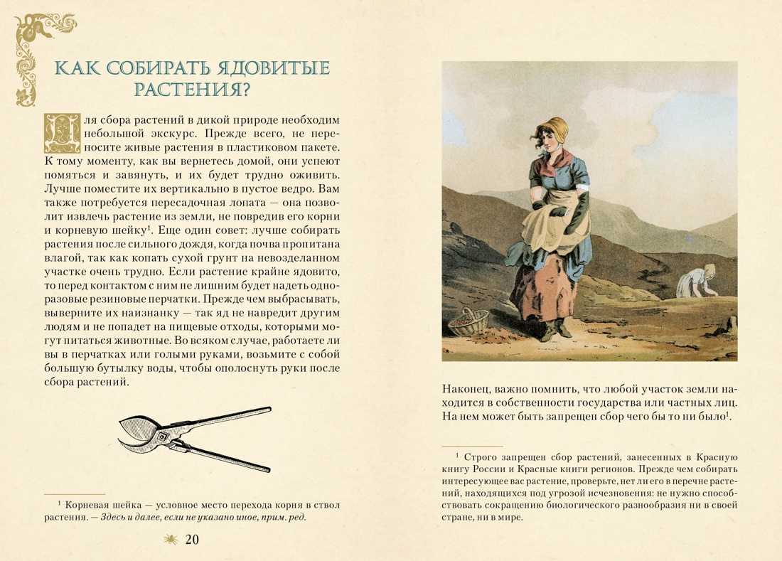 Книга КОЛИБРИ Магическое Средневековье. Лаис Э. Яды. Секретная сила растений - фото 7