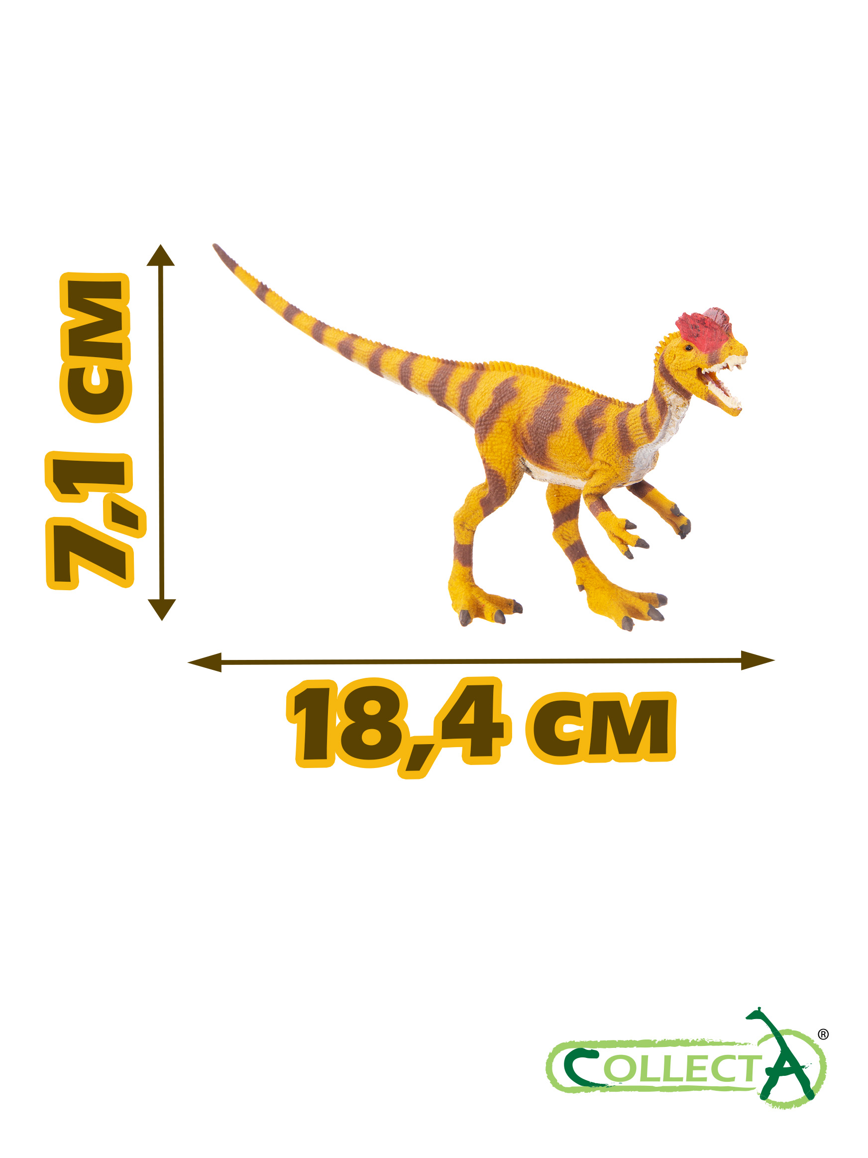 Фигурка Collecta Динозавр Дилофозавр - фото 2