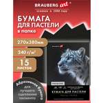 Художественная бумага Brauberg 15 лист.