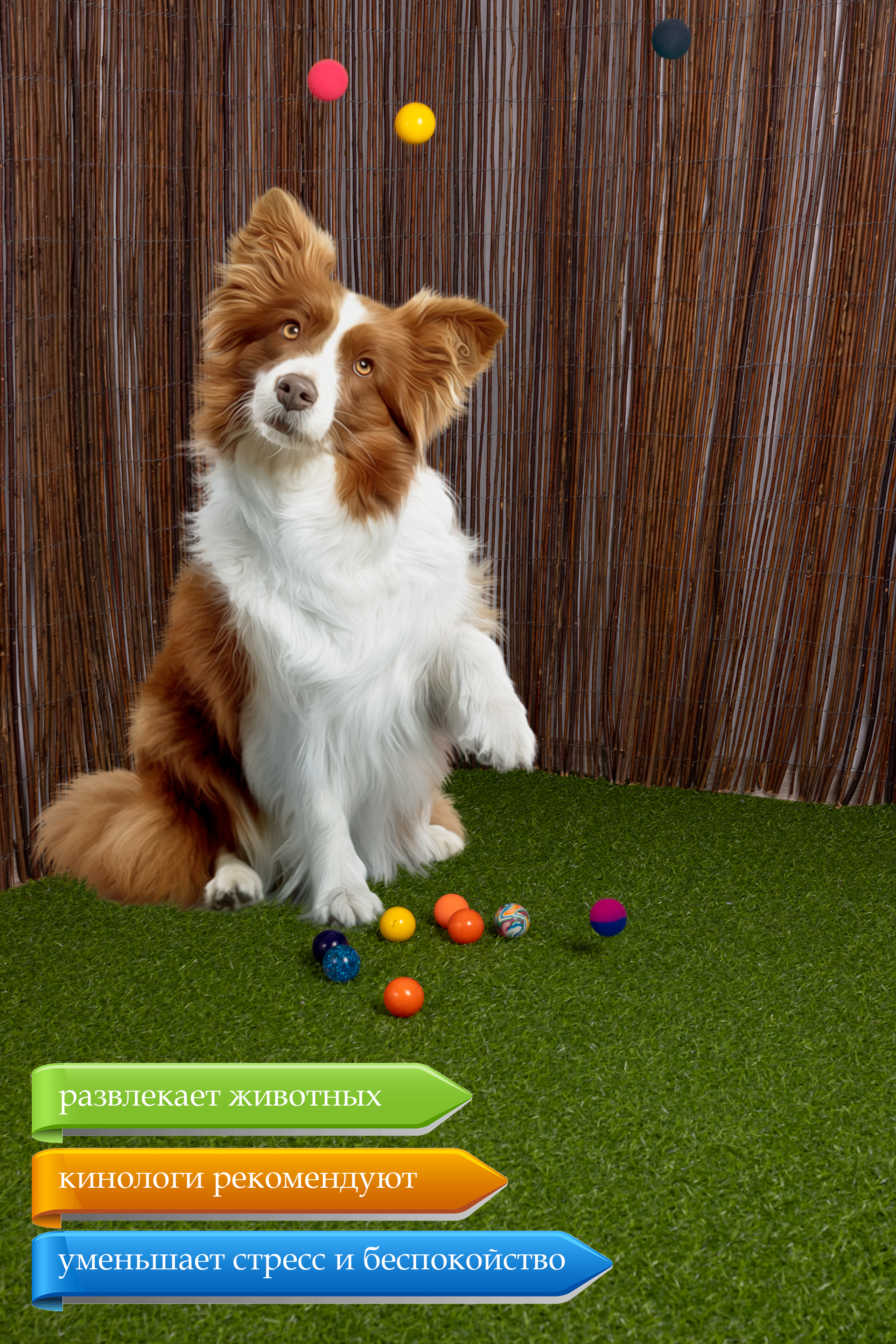 Попрыгунчики TopVending - фото 6