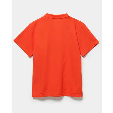 Поло Futurino Fashion