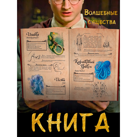 Книга True Books Space Волшебные существа по вселенной \"Гарри Поттера\"