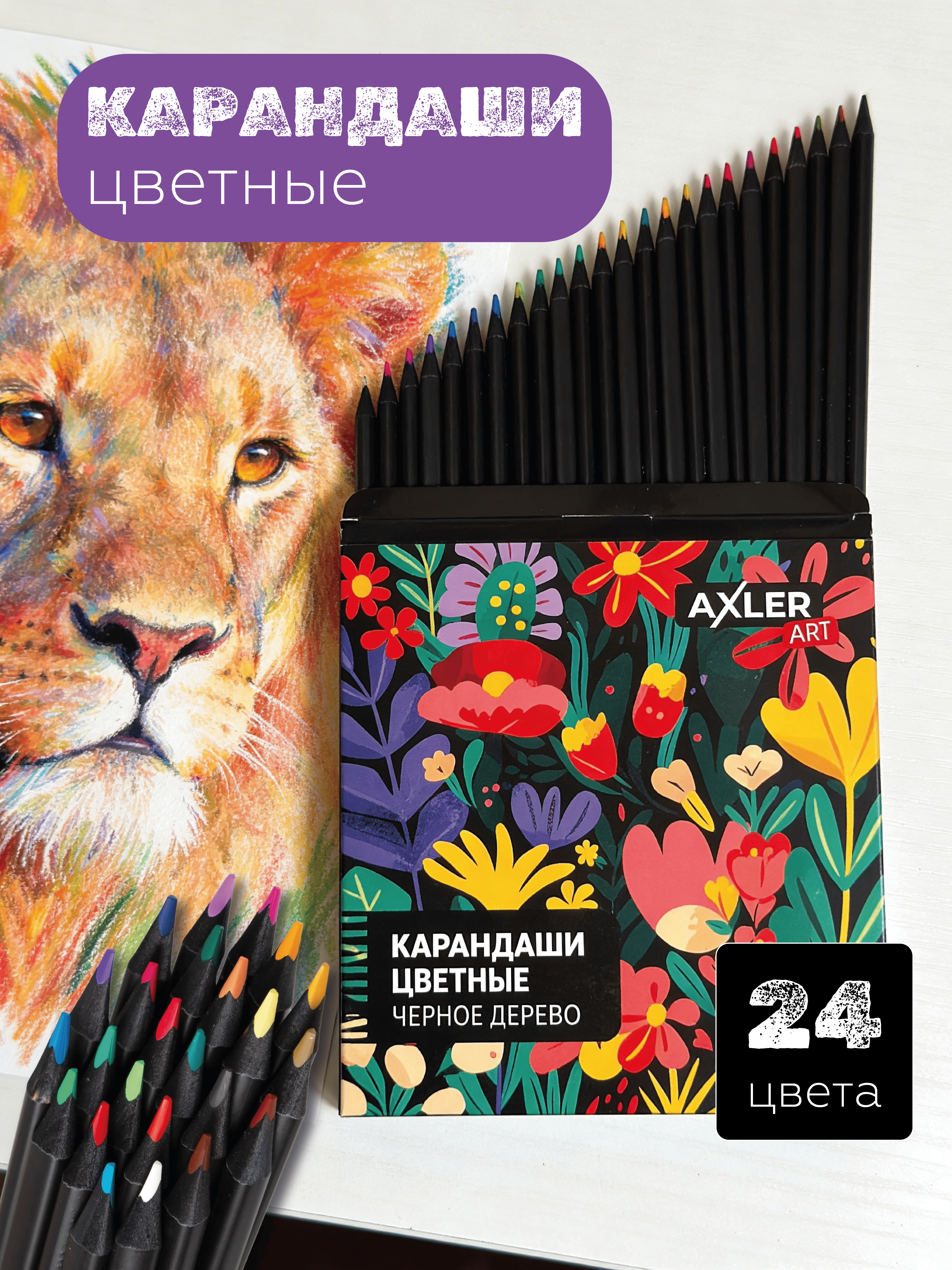 Карандаши цветные AXLER 24 шт. - фото 1