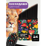 Карандаши цветные AXLER 24 шт.
