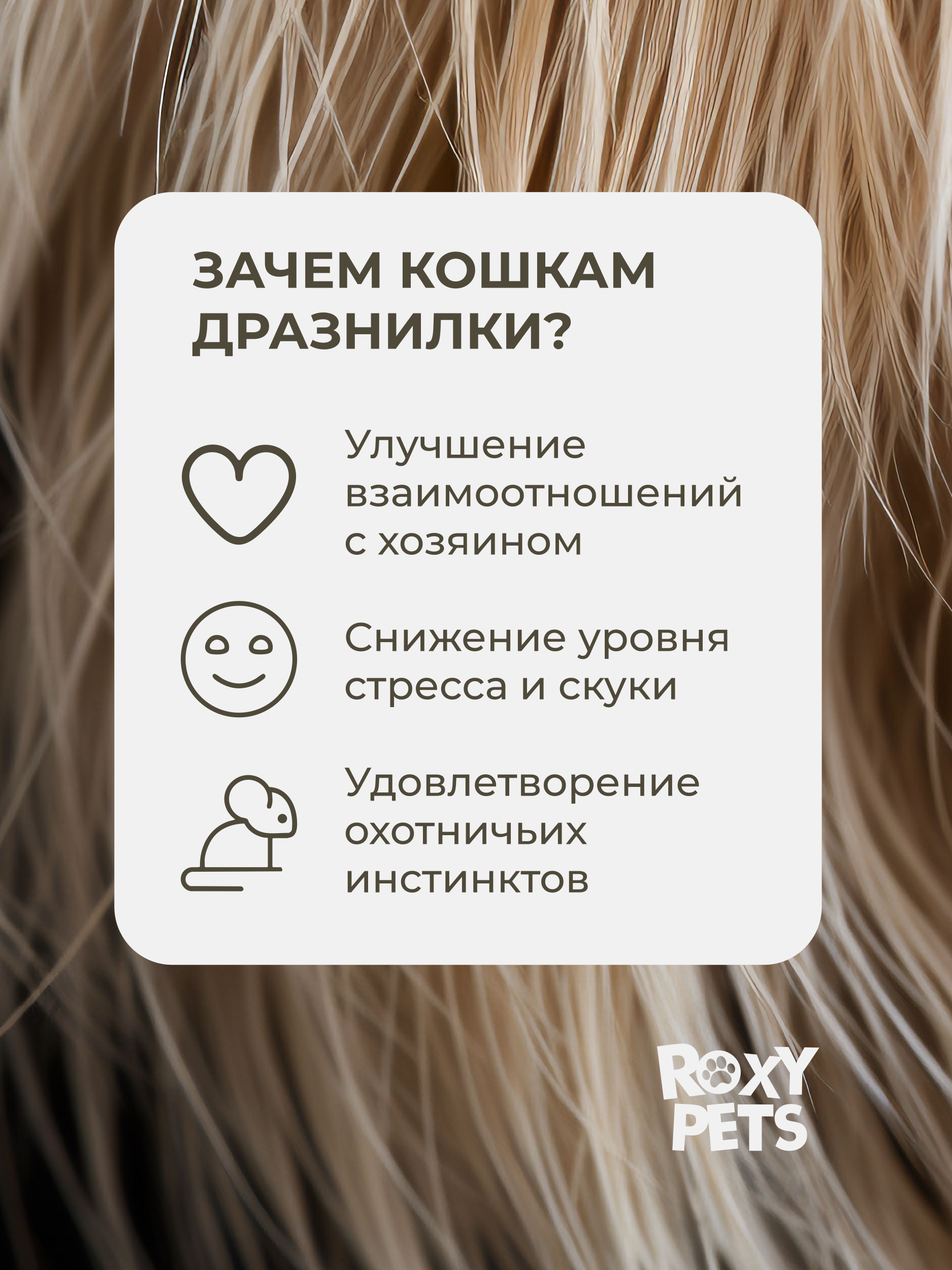 Игрушка ROXY PETS Дразнилка для кошек - фото 3