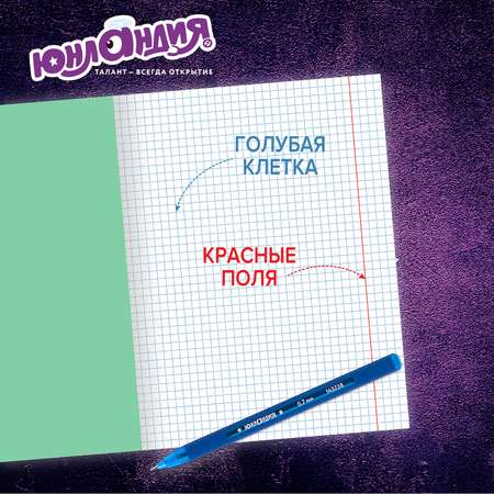 Тетрадь Юнландия косая линейка 12 лист. 30 шт.
