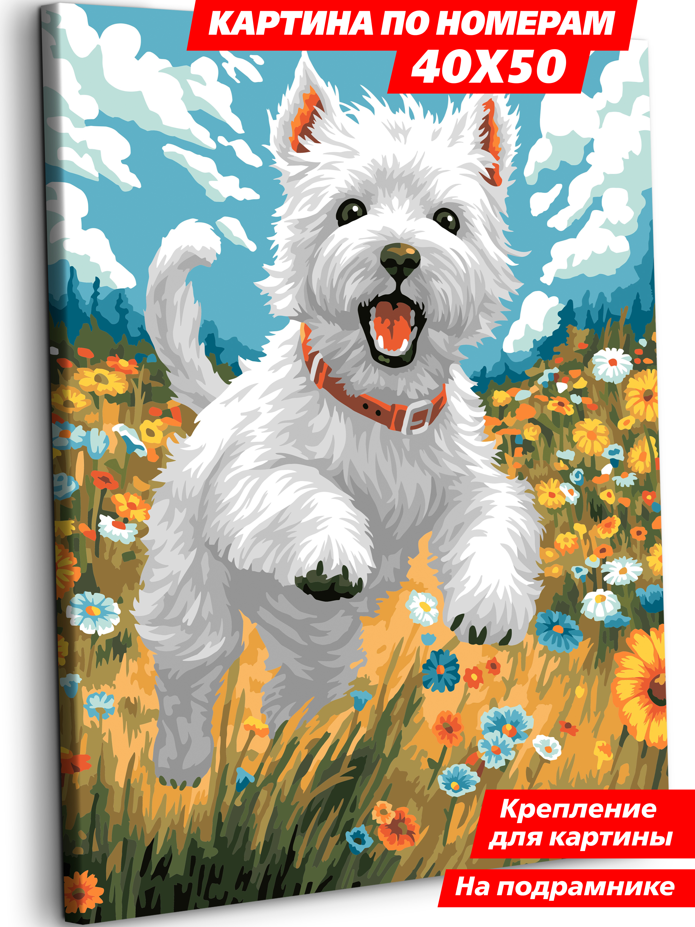 Картина по номерам Art sensation Пёс на лугу в ассортименте - фото 1