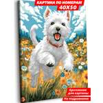 Картина по номерам Art sensation Пёс на лугу в ассортименте