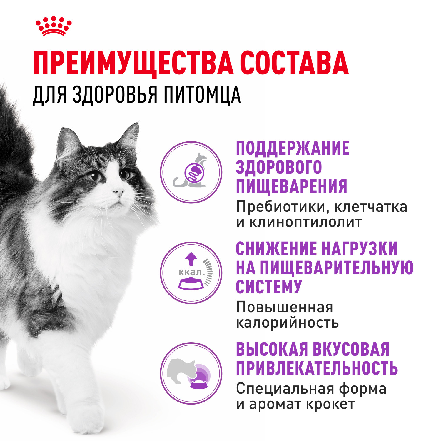 Корм сухой для кошек ROYAL CANIN Sensible 33 15кг с чувствительной пищеварительной системой - фото 3