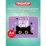 Папка для тетрадей Пифагор наблюдательный кот А4
