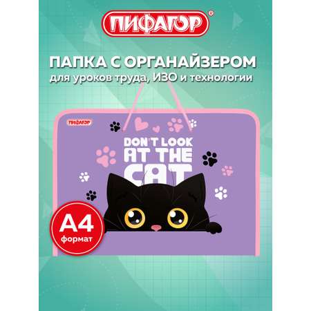 Папка для тетрадей Пифагор наблюдательный кот А4