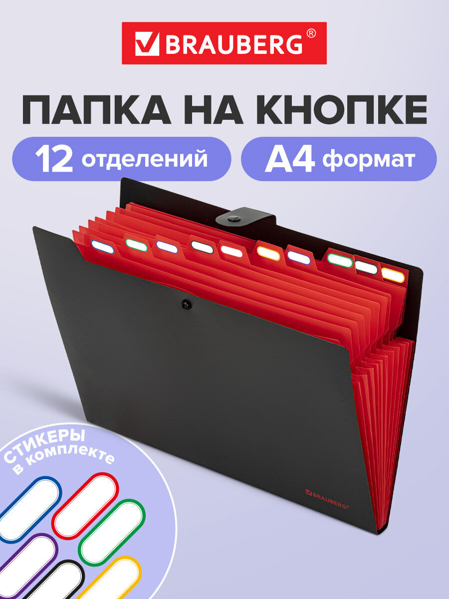 Изображение товара Папка-органайзер Brauberg А4 с 12 отделениями из полипропилена для документов