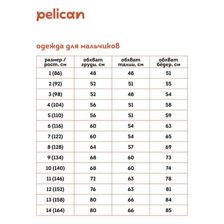 Брюки Pelican