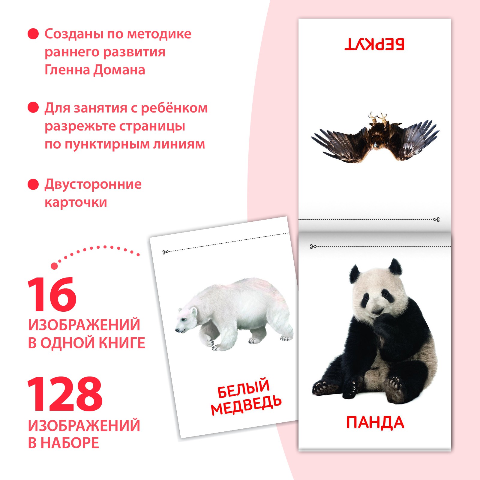 Набор обучающих книг Буква-ленд по методике Домана 8 шт Узнаем мир - фото 3