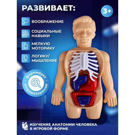 Игрушка AMORE BELLO Доктор (инструменты)