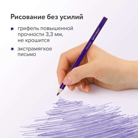 Карандаши цветные Brauberg 36 шт.