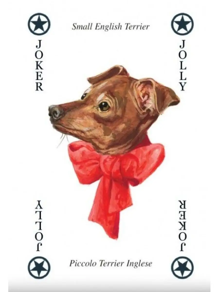 Настольная игра Lo Scarabeo Alice Playing Cards - фото 4