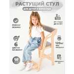 Растущий стул Ижевская Фабрика Игрушек детский