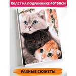 Картина по номерам Hobby Paint Три нежных кота в ассортименте