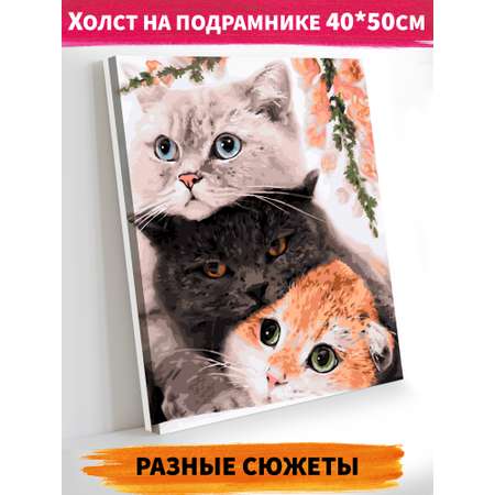 Картина по номерам Hobby Paint Три нежных кота в ассортименте