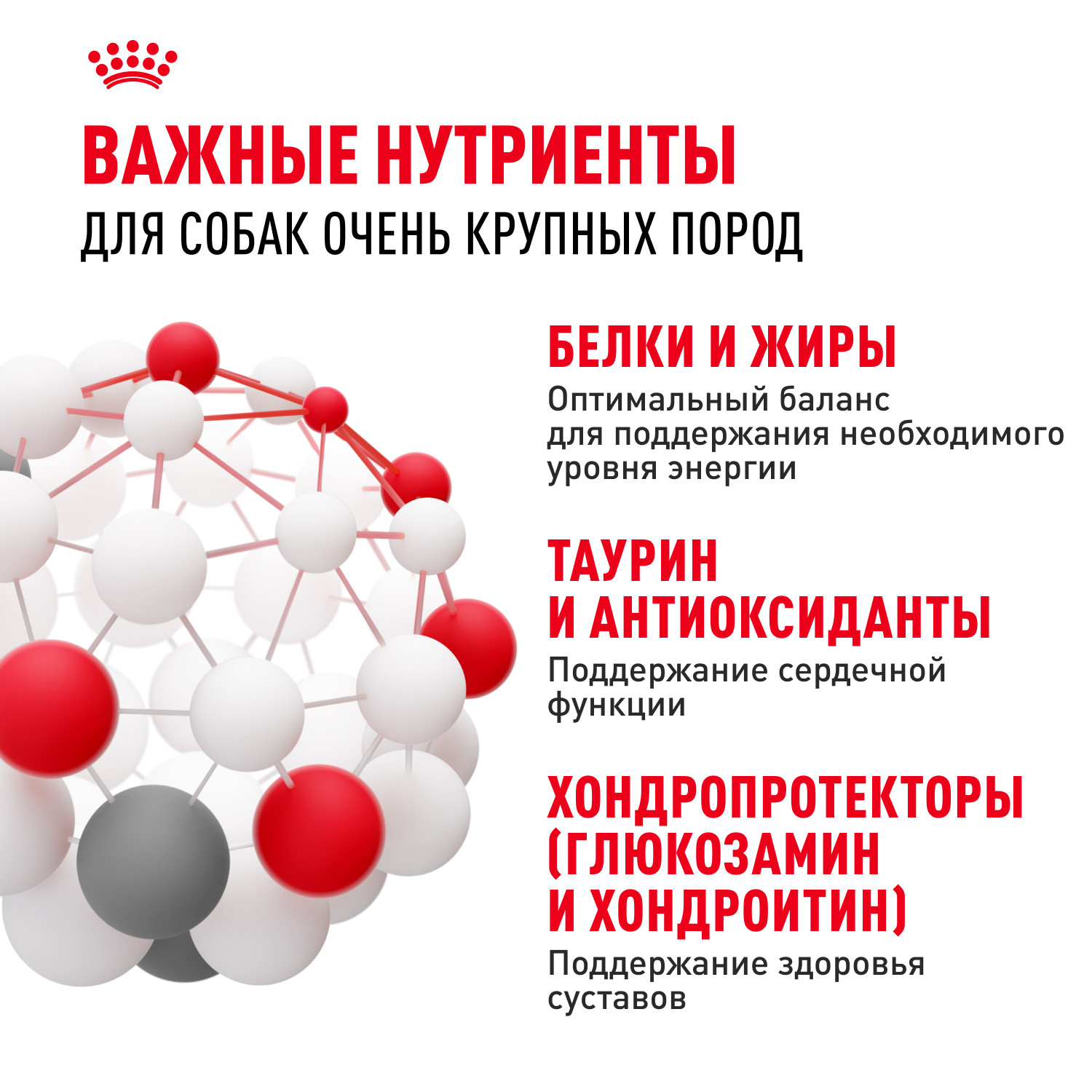 Корм для собак ROYAL CANIN гигантских пород более 45кг 15кг - фото 5