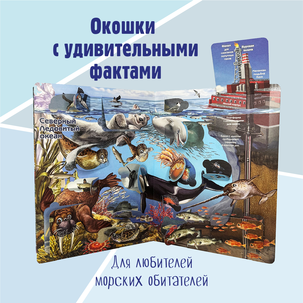 Энциклопедия с окошками БимБиМон книга детская - фото 2