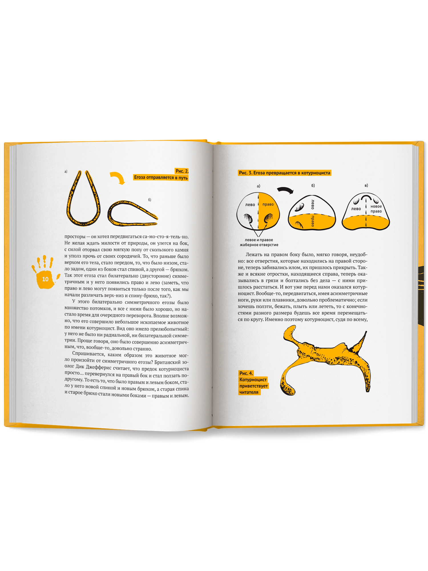 Левая книга Феникс Книга - фото 15