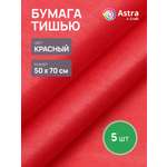 Бумага Astra Craft 50х70см 5 шт 99-01 красный