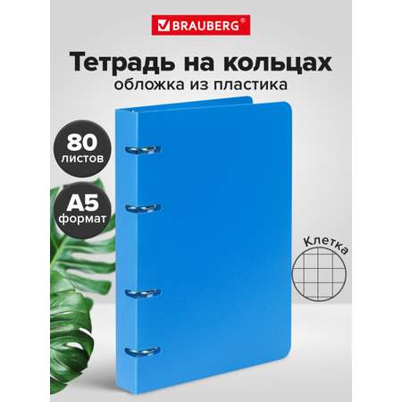 Тетрадь со сменным блоком Brauberg клетка 80 лист.