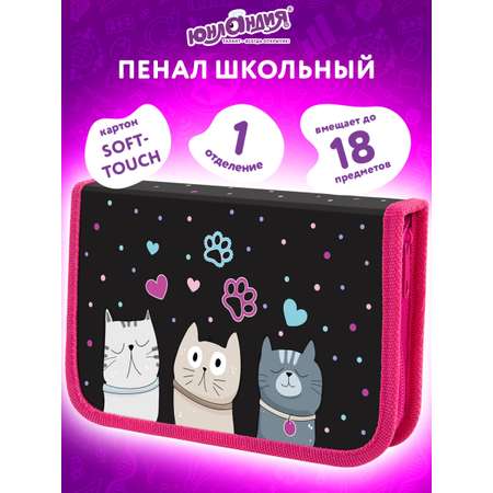 Пенал Юнландия