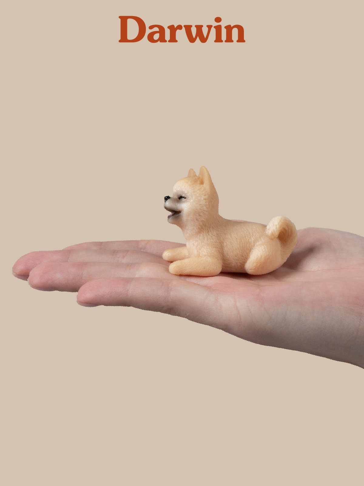 Фигурка DARWIN Собака Померанский шпиц - фото 2