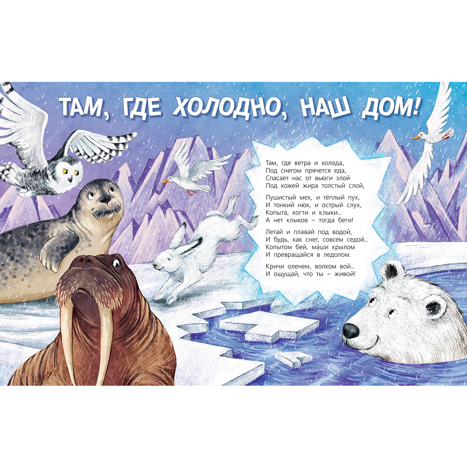 Книга ЭНАС-книга Посмотри где мы живем! - фото 2