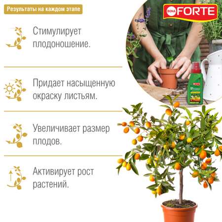 Жидкое минеральное удобрение Bona Forte Красота Для цитрусовых растений 285 мл
