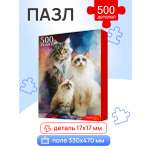 Пазл Рыжий кот Кошачья семья 500 элементов