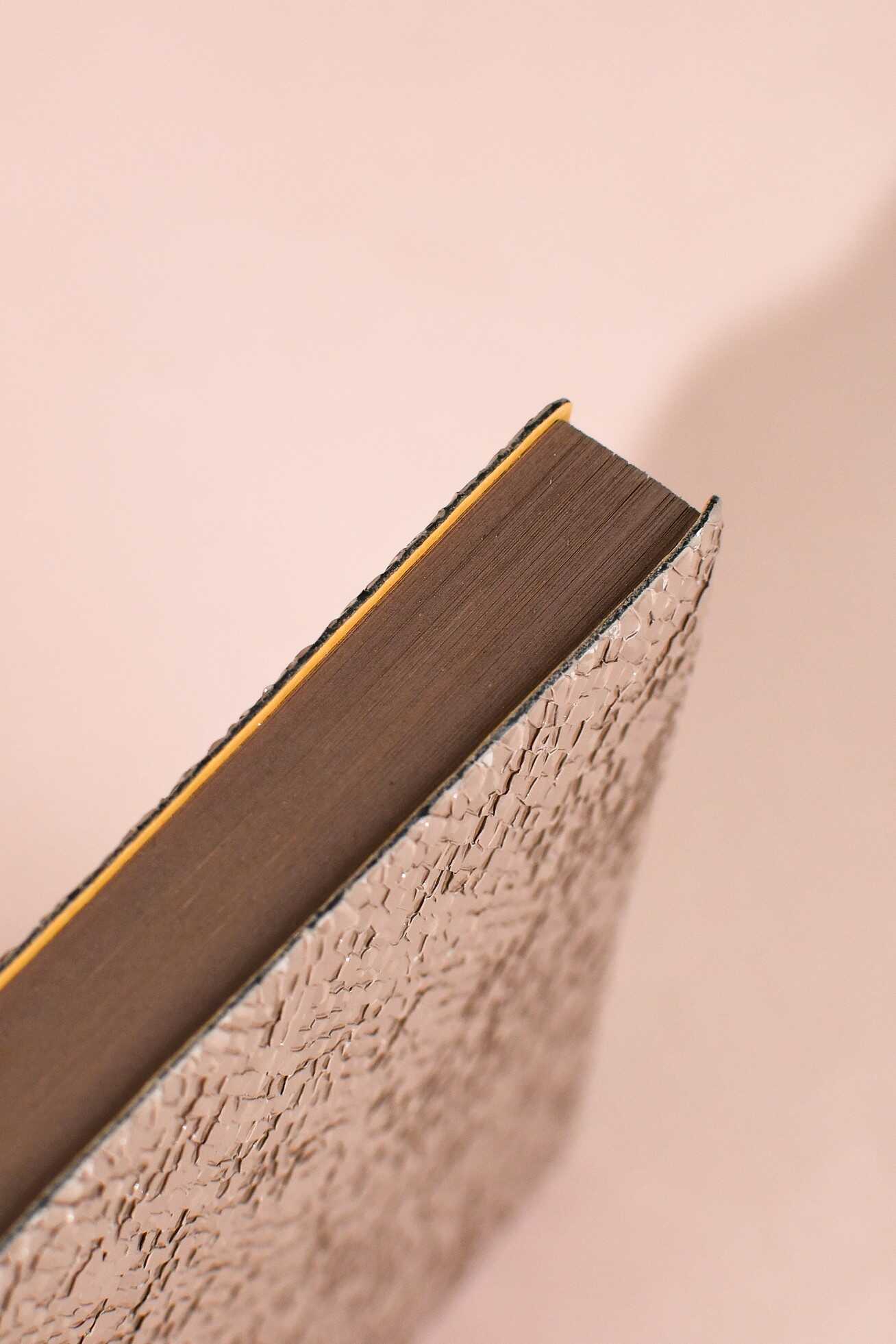 Ежедневник Феникс + ESCALADA 160 лист. - фото 18