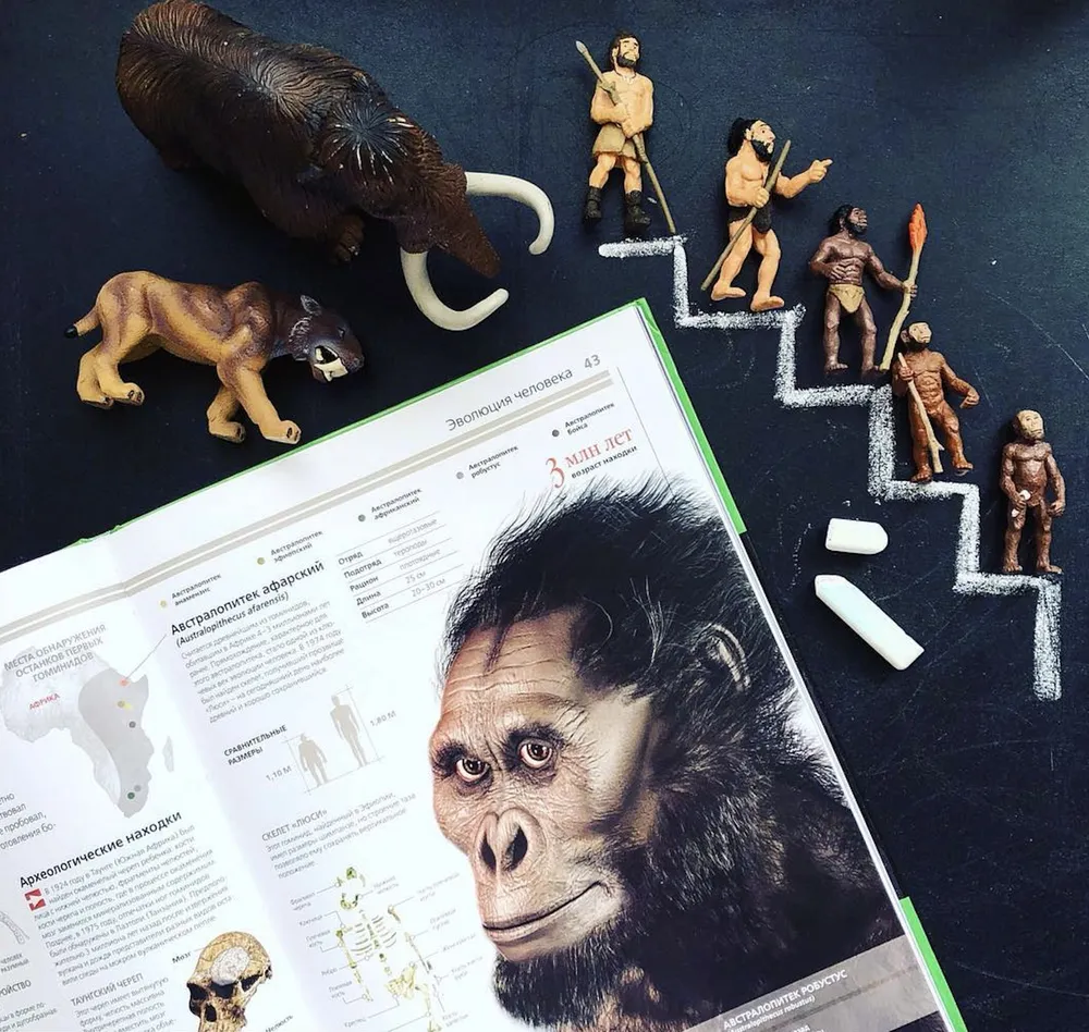 Игровой набор Safari Ltd. фигурок Эволюция человека - фото 6