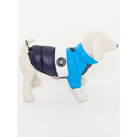 Куртка для собак PIFPAF DOG