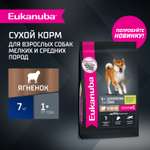 Корм для собак сухой для взрослых собак Eukanuba мелких и средних пород старше 1 года с ягненком 7кг