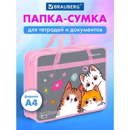 Папка для труда Brauberg А4