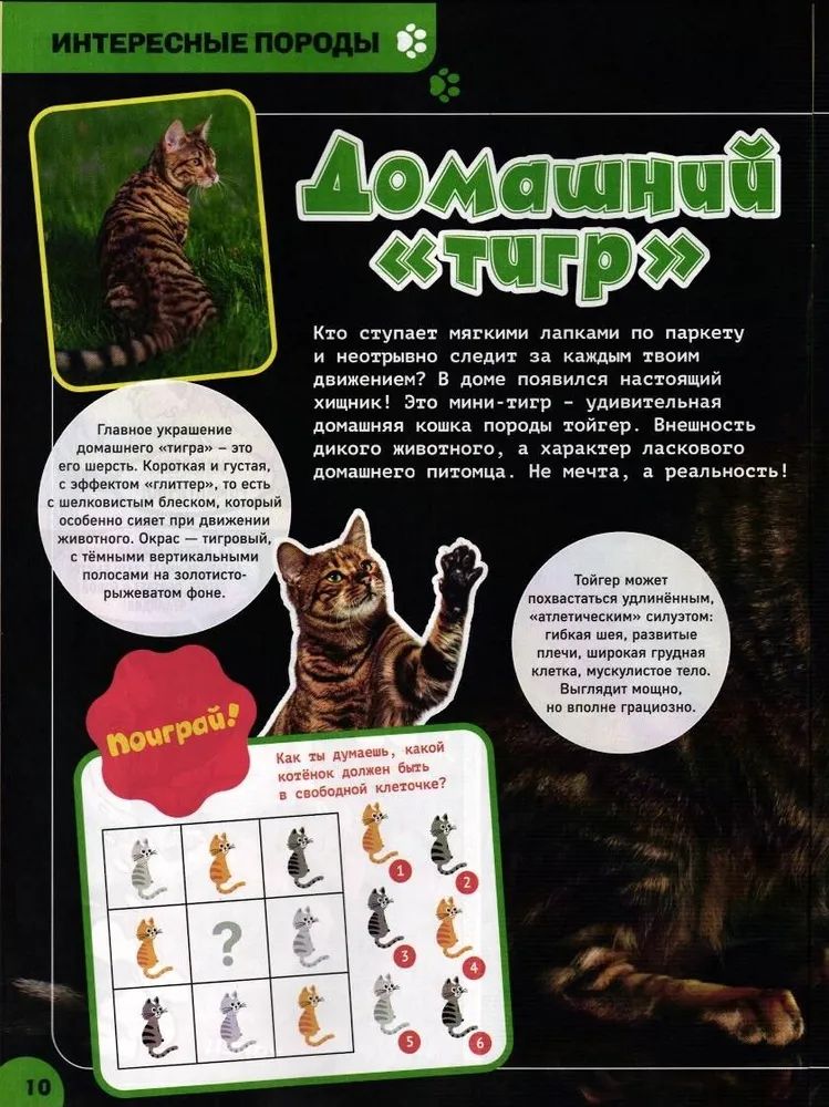 Набор детских журналов ИД Лев Тошка 1/25 и 6/25 - фото 4