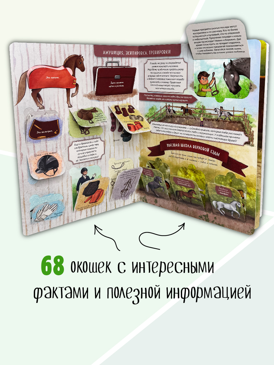 Энциклопедия с окошками БимБиМон книга детская - фото 3