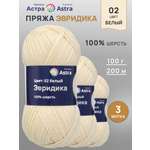 Пряжа шерстяная Astra Premium 100г 200м 3шт
