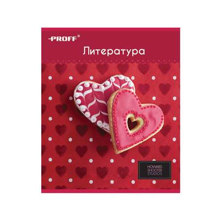 Тетрадь Proff 48 лист. (Литература)