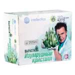 Набор для опытов Intellectico